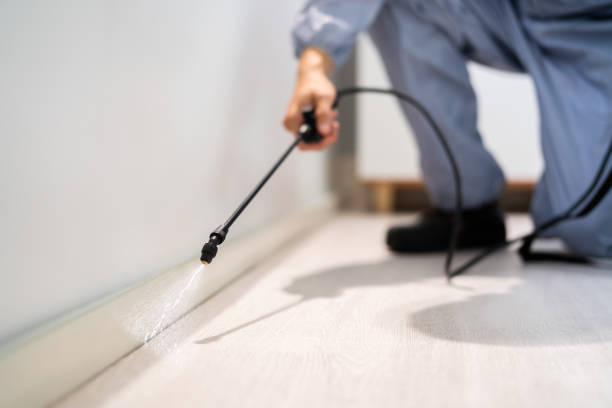 Licensed Pest Control service in New Mexico, NM - Show Me Pest Control